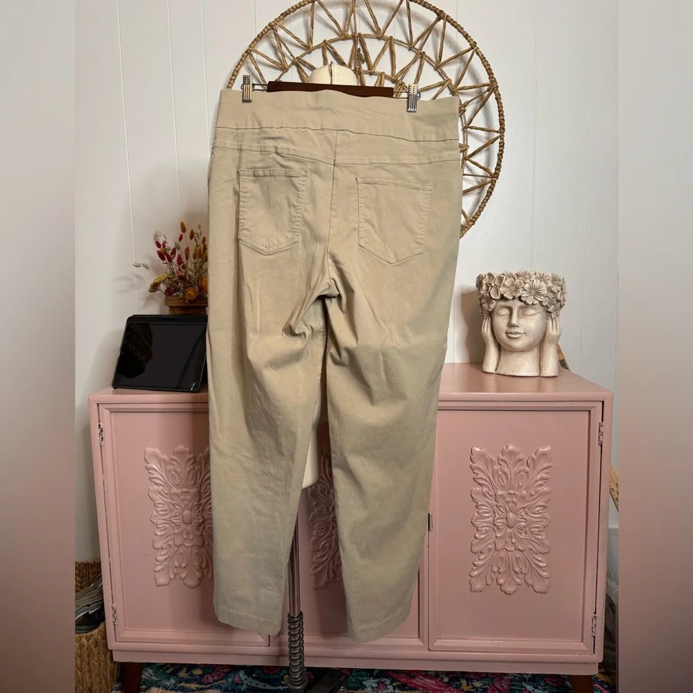 Ruby Rd. Size 18‎ Tan Women's Pants